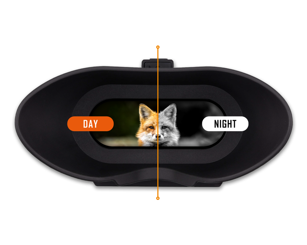  Nightfox Swift- Lentes de visión nocturna, infrarrojos  digitales, aumento de 1 x, rango de 225 pies, batería recargable : Deportes  y Actividades al Aire Libre
